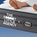 The sceret little agency