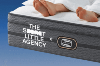 The sceret little agency