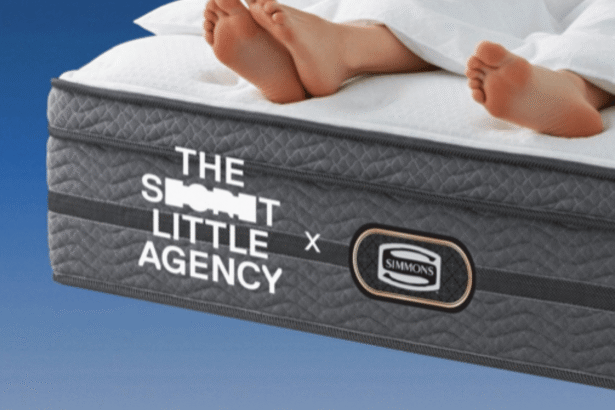 The sceret little agency