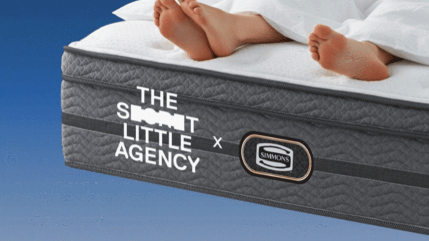The sceret little agency